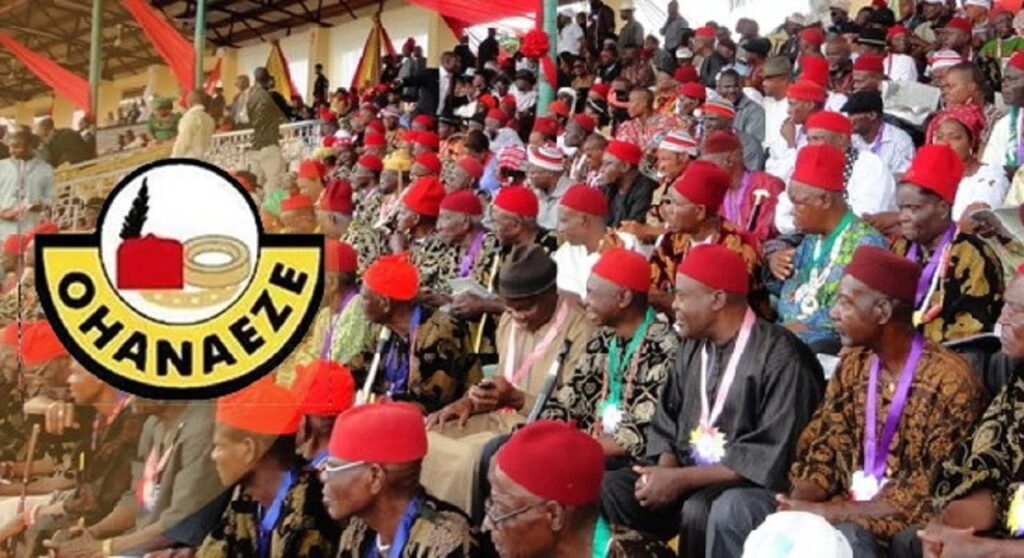 may-29-inauguration:-tinubu-igbo-man,-should-look-towards-southeast-–-ohanaeze
