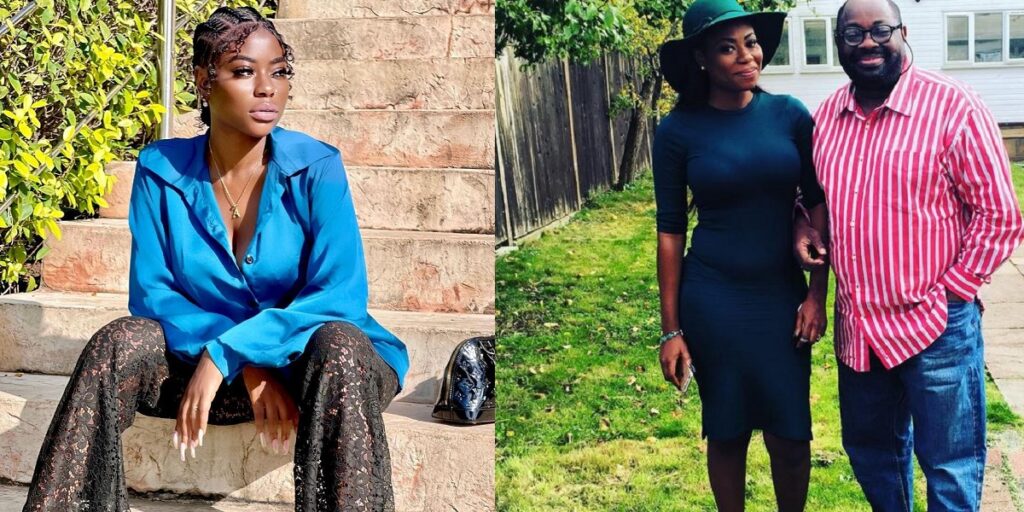 “please-calm-down”-–-dele-momodu-advises-his-niece,-sophia-momodu
