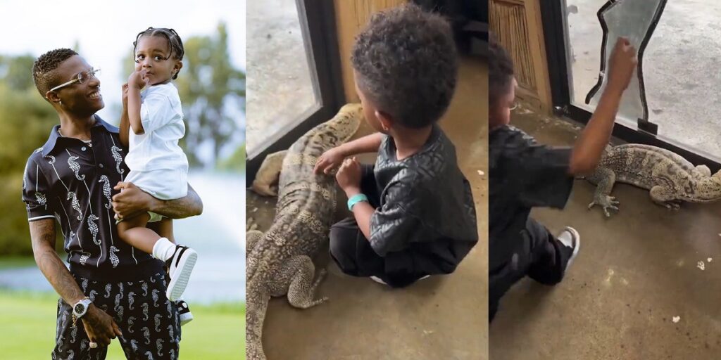moment-wizkid’s-son,-zion-jolted-in-fear-after-the-monitor-lizard-he-was-petting-made-a-scary-sound-(video)