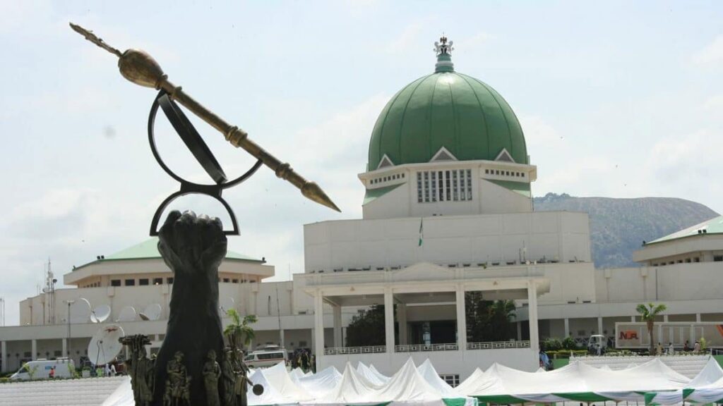 ohanaeze-youths,-igbo-united-professionals-set-agenda-for-nass-leadership