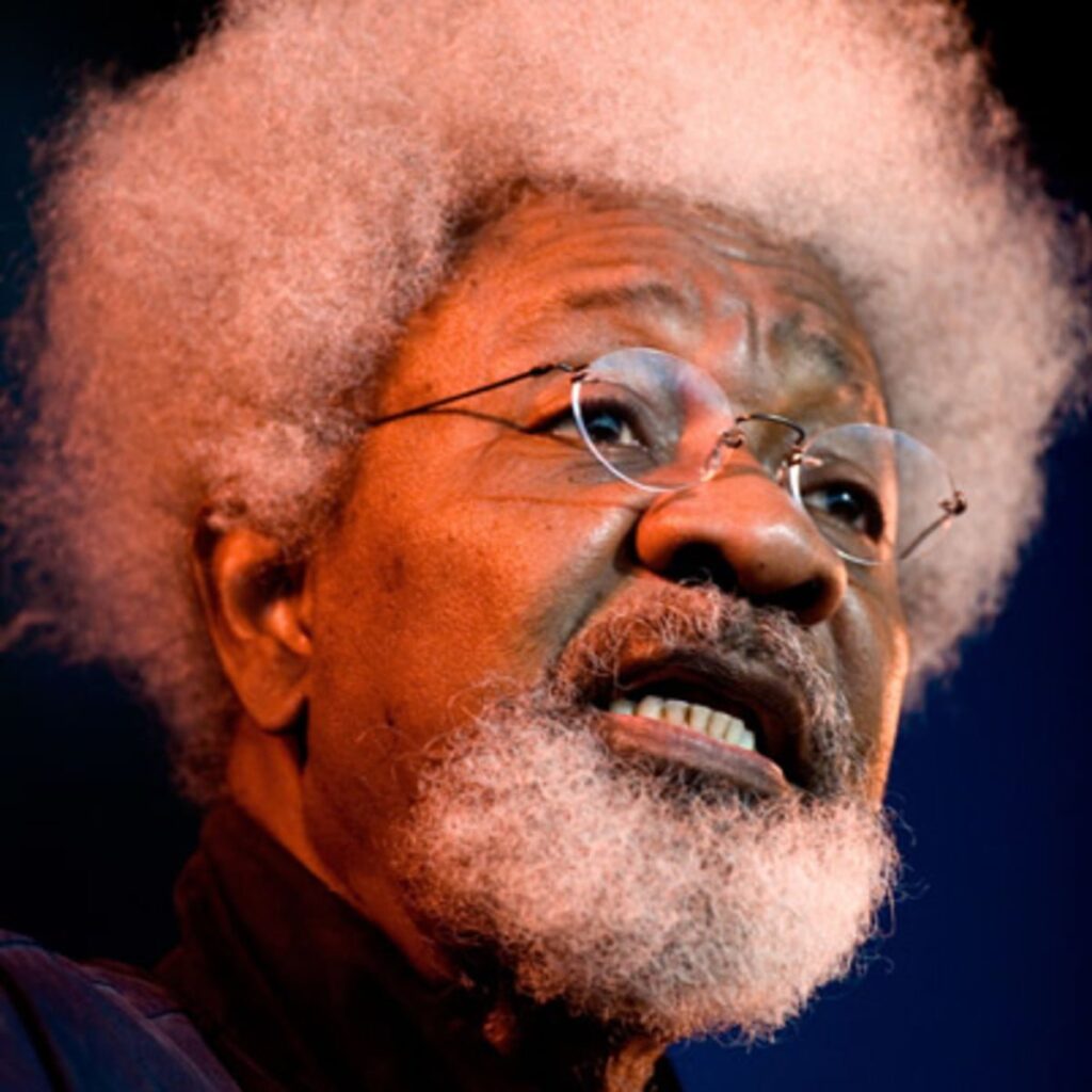 you’re-foolishly-playing-script-of-others-–-soyinka-chides-obidients