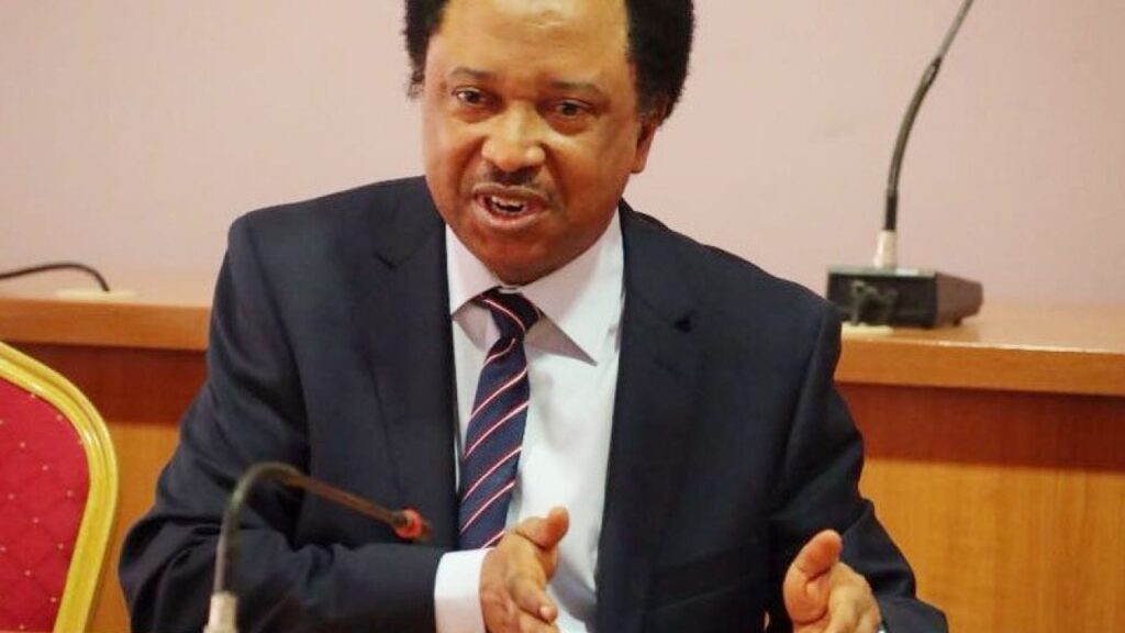 shehu-sani-reacts-as-fg-confirms-plans-to-increase-tinubu,-shettima,-others’-salaries