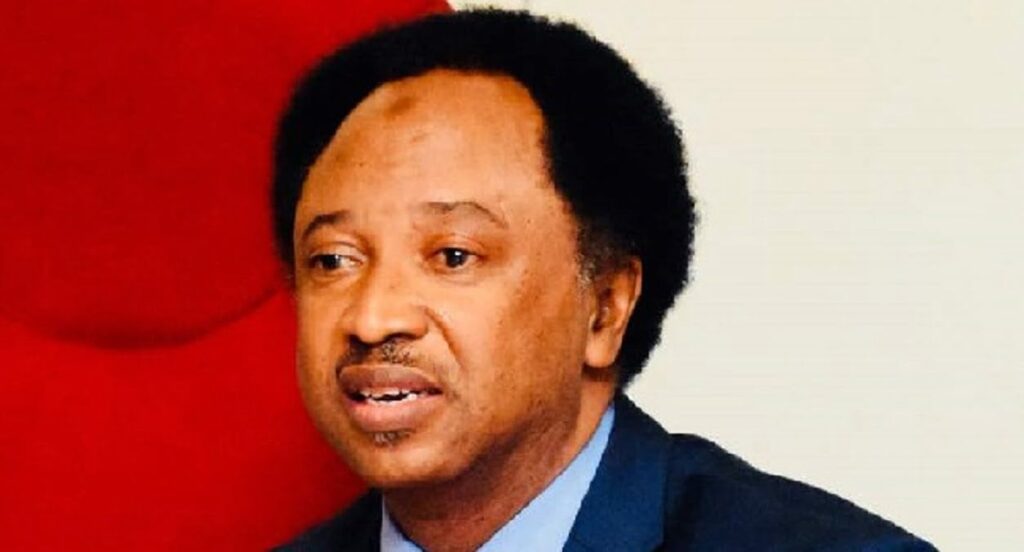 probe,-don’t-reward-former-governors-–-shehu-sani-tells-tinubu