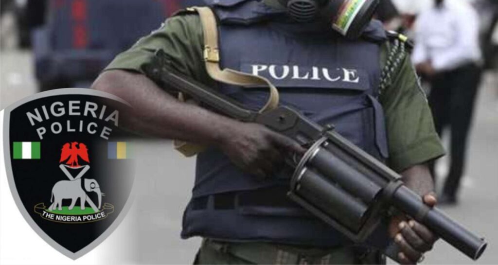 police-arrest-207-suspects-in-kaduna
