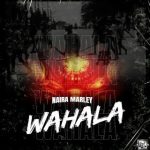 naira-marley-–-wahala