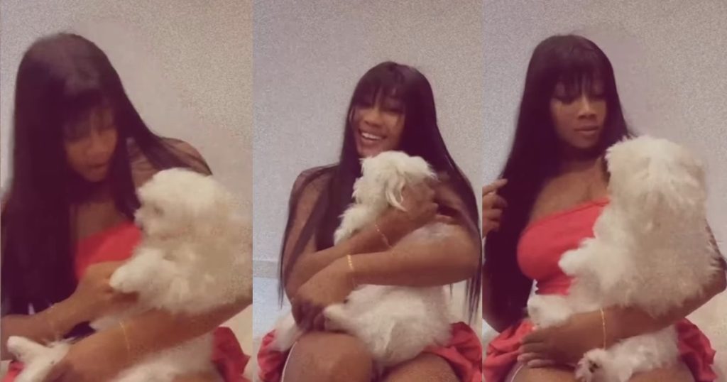 “the-way-she-dropped-the-dog-ehn”-–-lady-narrowly-esc@pes-dog-b!te-while-petting-friend’s-dog-(video)