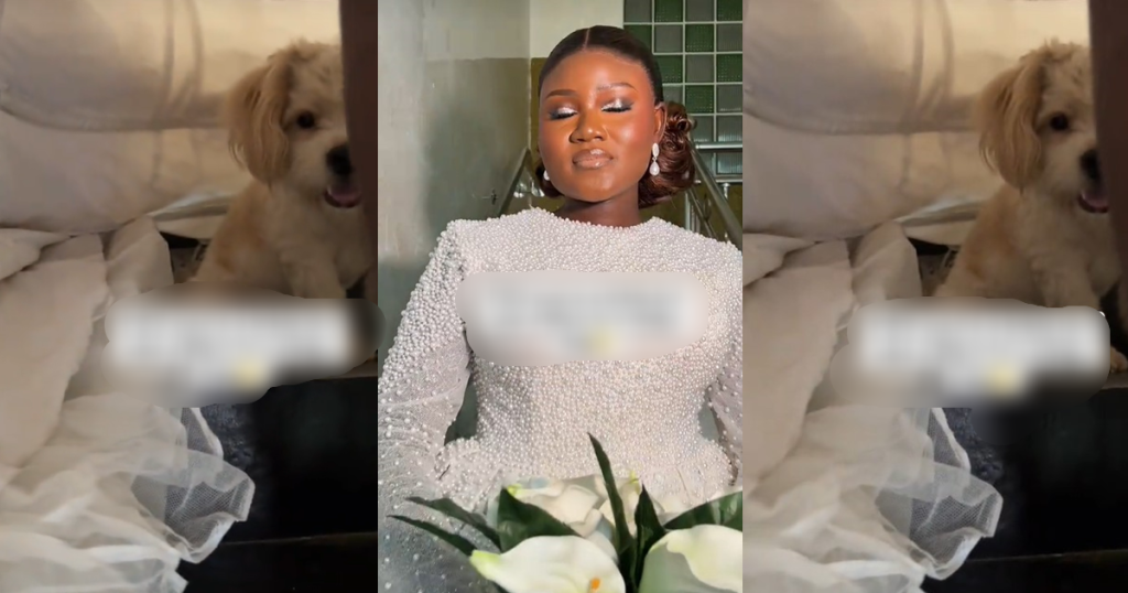 “the-dog-came-for-the-wedding”-–-nigerian-bride’s-clingy-dog-hid-underneath-her-bridal-dress-on-wedding-day-(watch)