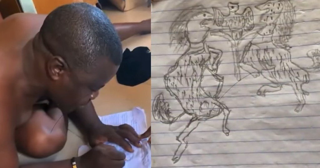 “he-actually-intended-to-draw-it-well-o”-–-lady-reveals-humorous-nigerian-coat-of-arms-drawn-by-her-father-(watch)