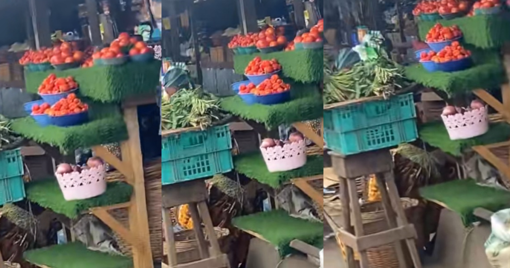 “omoh-the-pepper-expensive-oo”-–-lady-expresses-surprise-at-trader’s-use-of-decorative-carpet-grass-to-display-peppers-(watch)