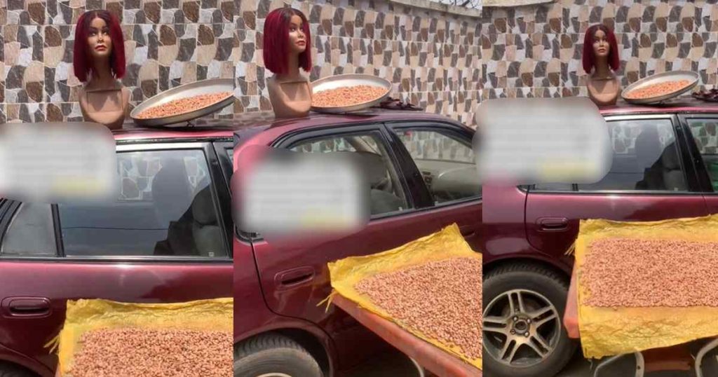 “i-go-soon-pack-comot-from-this-house”-–-lady-stunned-after-her-mother-utilizes-her-bone-straight-wig-as-a-scarecrow-to-scare-away-birds-(watch)