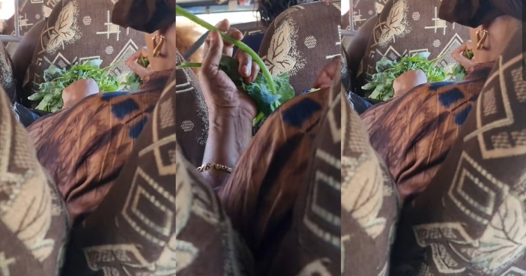 “she-starts-dinner-before-she-even-gets-home”-–-video-of-a-woman-picking-vegetables-in-public-transport-stuns-online-users-(watch)