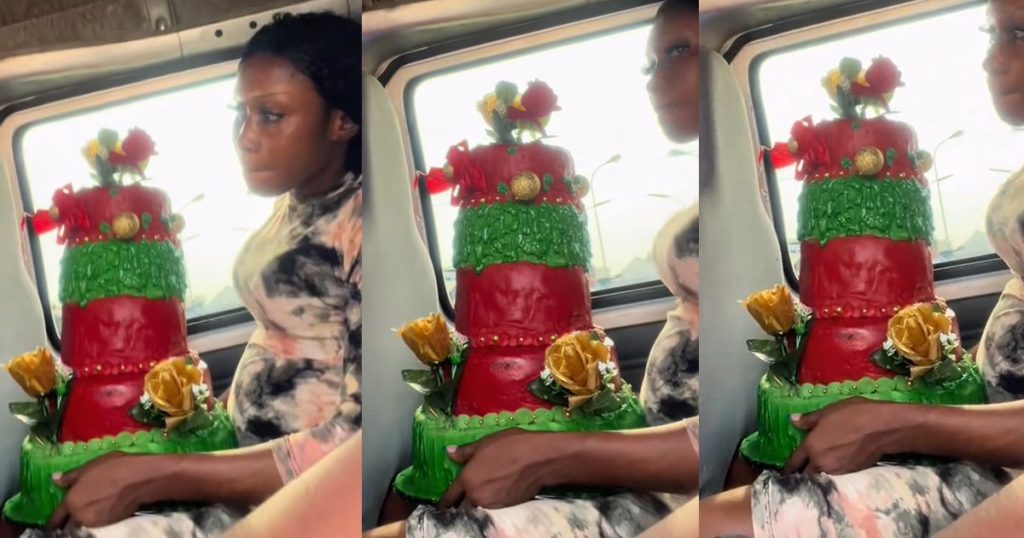 “i-thought-it-was-a-christmas-tree”-–-woman-stunned-after-encountering-a-unique-looking-cake-in-public-transport-(video)