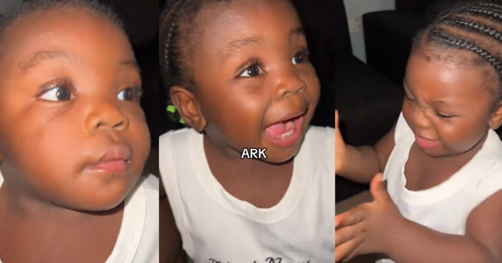 “noah-and-the-ark”-–-toddler-shares-lesson-she-learnt-during-sunday-school-class-at-church-(watch)