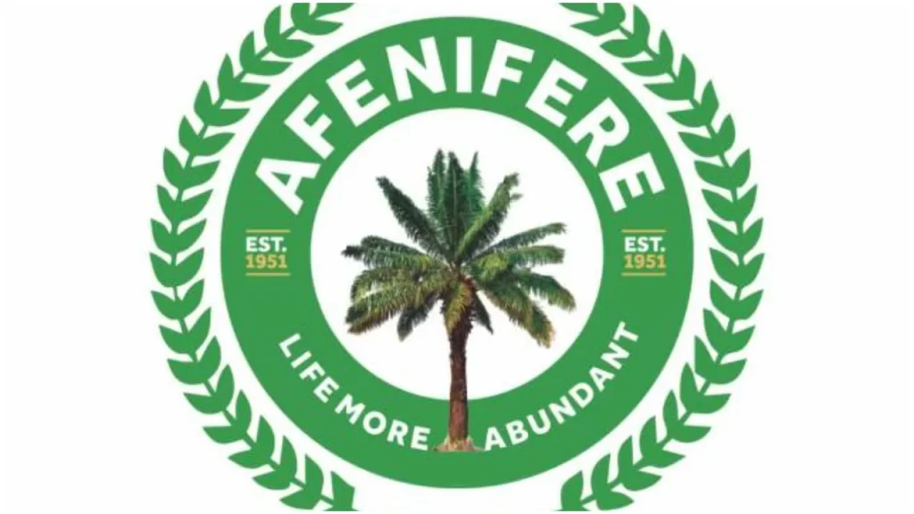 afenifere-warns-against-plot-to-scuttle-tinubu’s-second-term-ambition