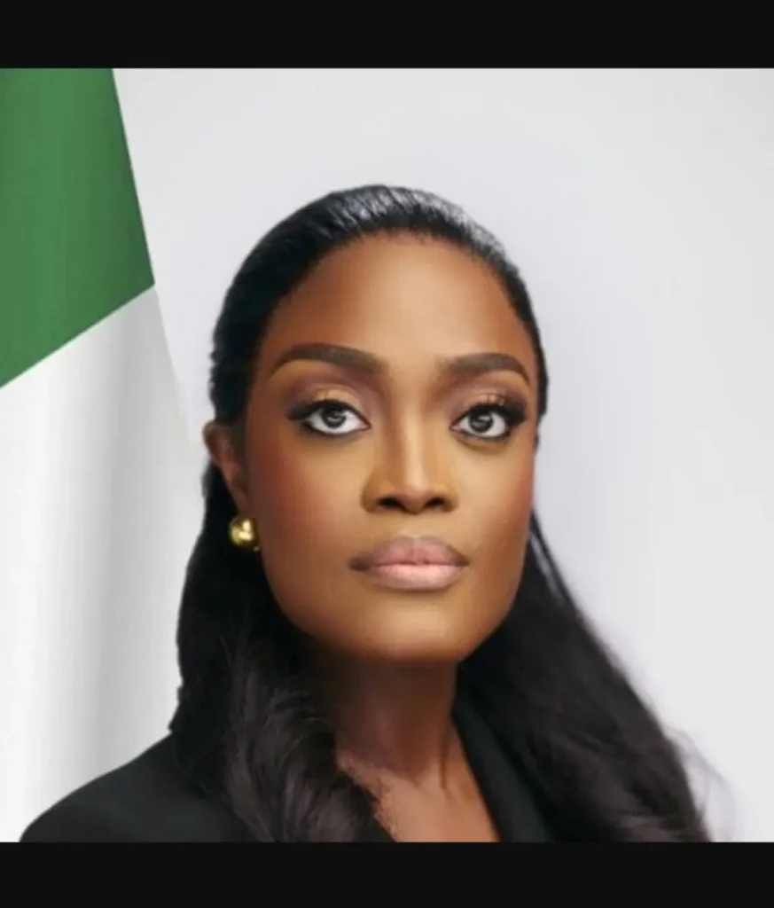 ex-commissioner-denies-disrupting-renewed-hope-programme