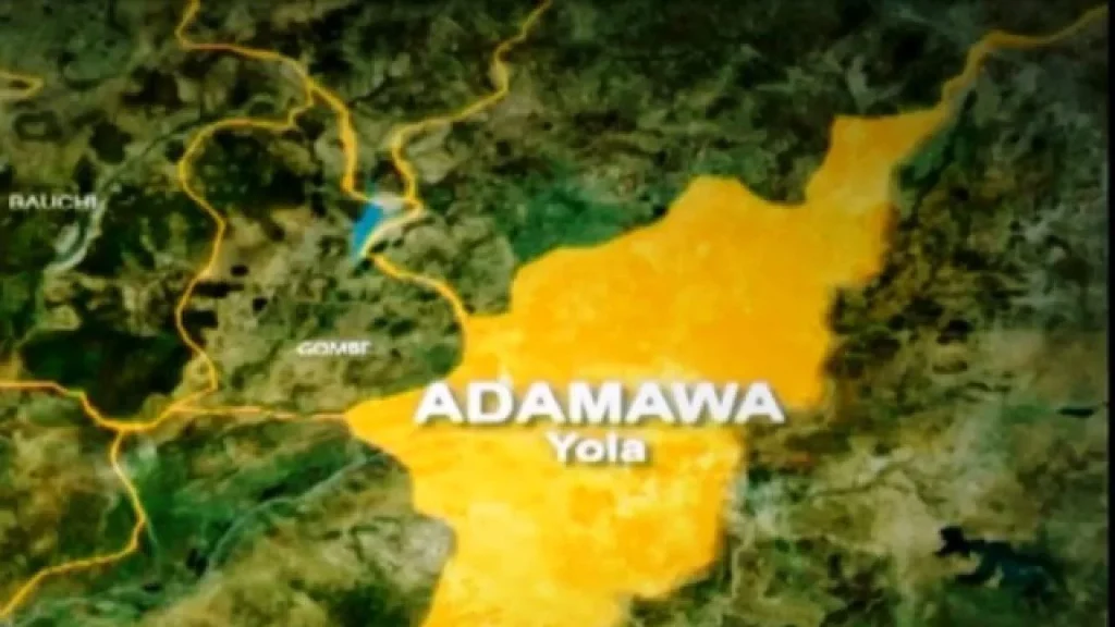 61,951-apply-for-4,000-adamawa-civil-service-jobs