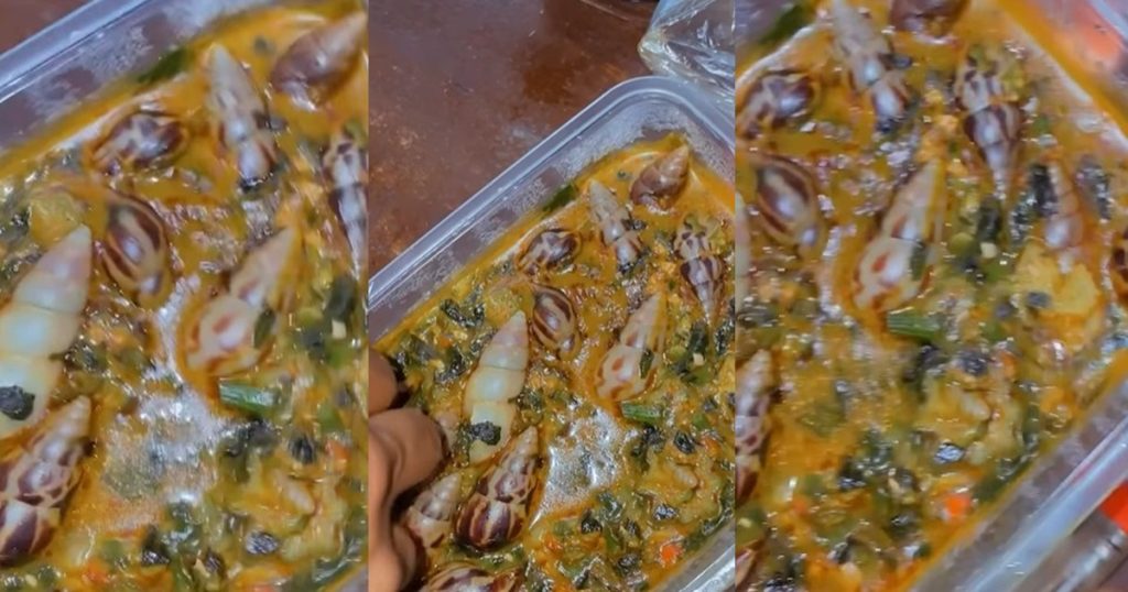 “no-food-i-never-see-since-i-start-dey-serve-nigeria”-–-lady-stunned-after-her-roommate-prepared-okro-soup-and-snails-in-their-shells-(watch)