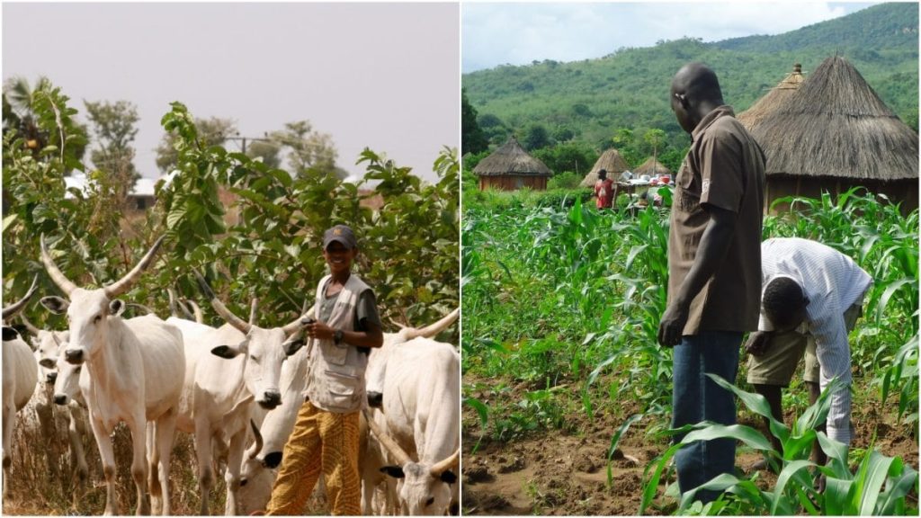 suspected-herders-kill-eight-farmers-near-taraba–benue-border