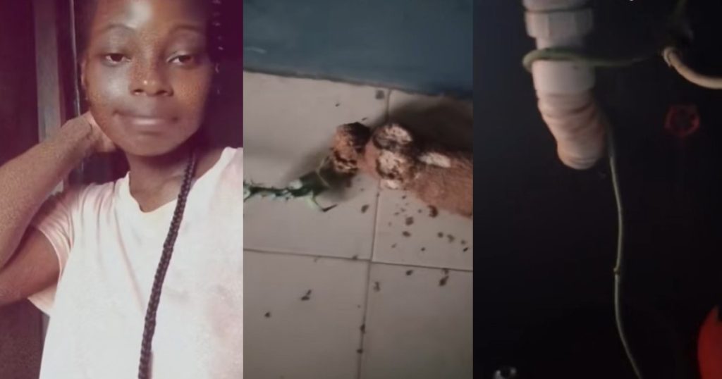 lady-shows-what-happened-to-the-tuber-of-yam-she-left-in-her-kitchen-after-she-travelled-for-two-weeks-(watch)