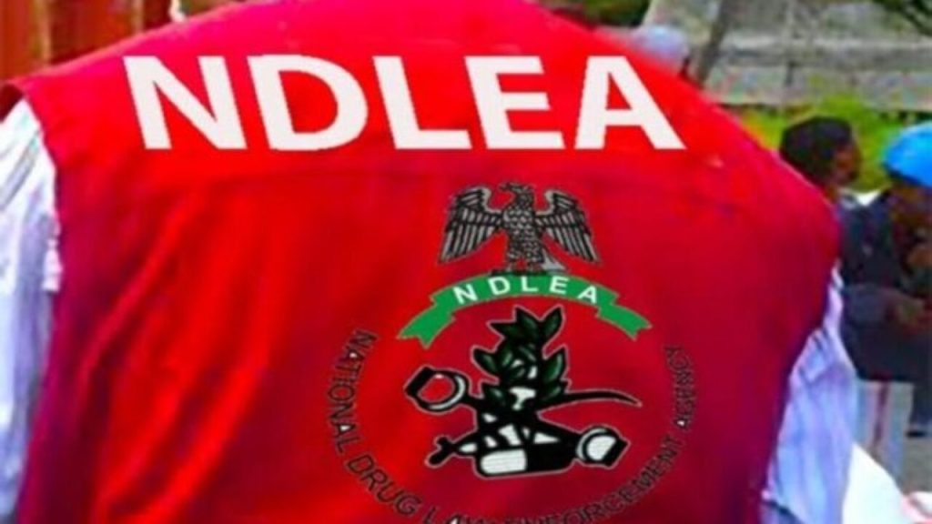 ndlea-slams-eight-count-drug-charges-against-notorious-kano-dealer,-sulaiman-danwawu
