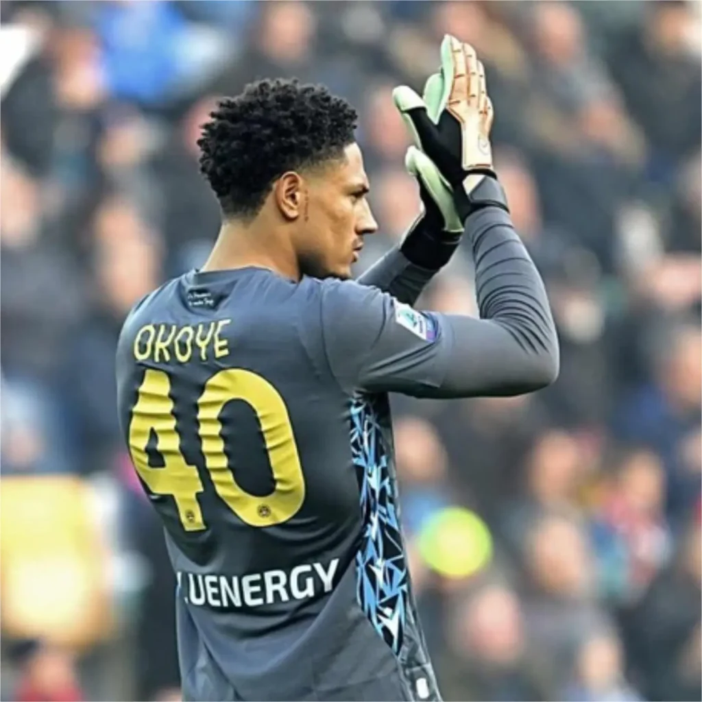 transfer:-okoye-provides-update-on-udinese-future 