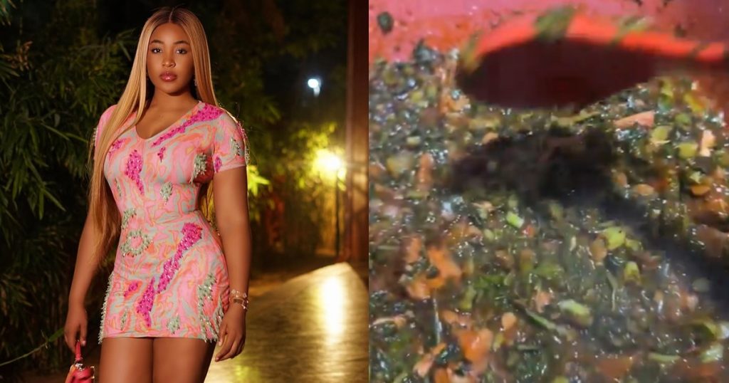 “beyonce-doesn’t-know-how-to-cook-and-she’s-still-a-success”-–-bbnaija-star,-erica-nlewedim-responds-to-critics-of-her-cooking-skills-(watch)