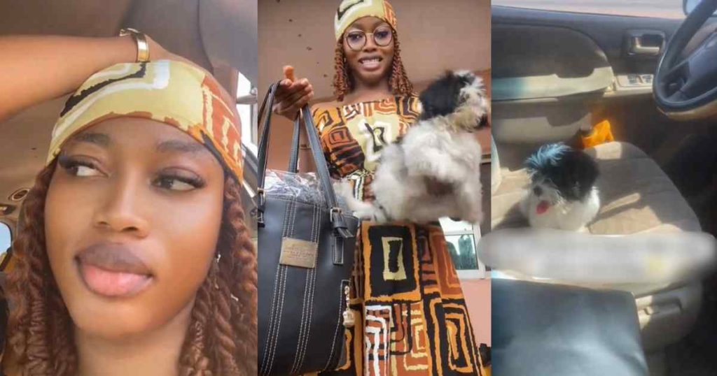 “he-refused-to-leave-the-driver’s-seat”-–-lady-shares-her-first-time-experience-traveling-with-her-pet-dog-on-public-transport-(watch)