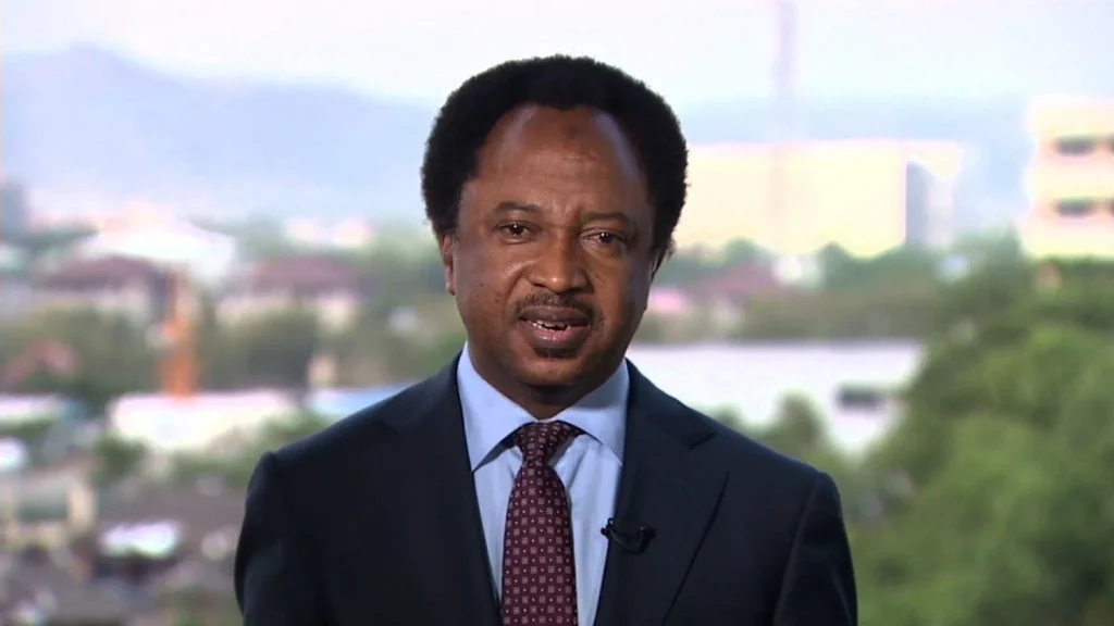 2027:-put-your-houses-in-order,-stop-accusing-tinubu-–-shehu-sani-tells-pdp,-lp,-others
