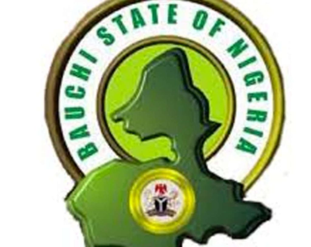 bauchi-govt-raises-alarm-over-rising-maternal-mortality-rate